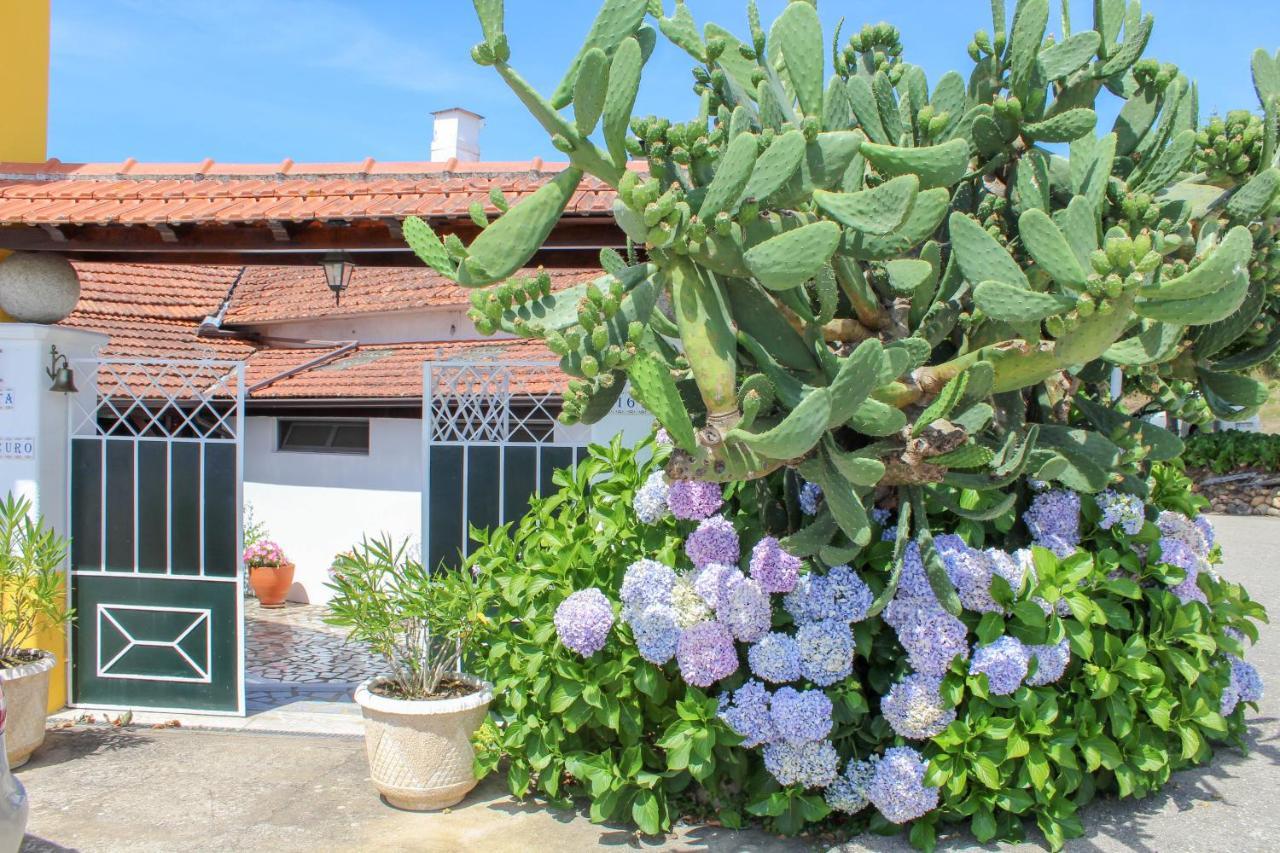 Quinta De Vale Escuro Hotel Lousã Екстериор снимка